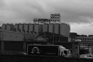Guiness Brauerei